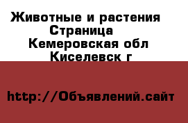  Животные и растения - Страница 3 . Кемеровская обл.,Киселевск г.